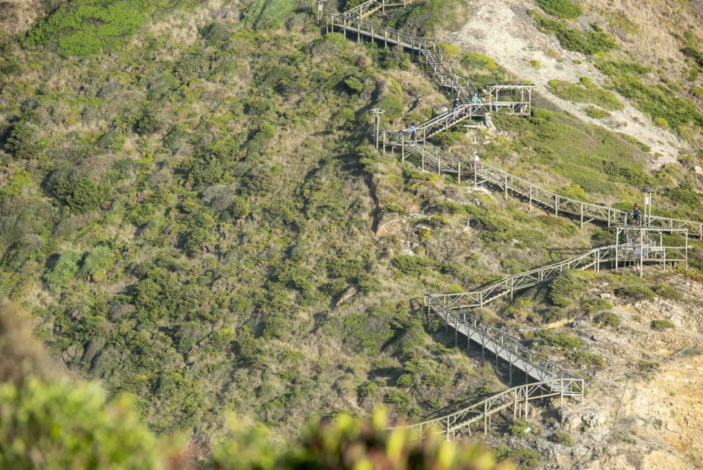 Wooden stairs climbing the hill above Ribeira D'Ilhas beach